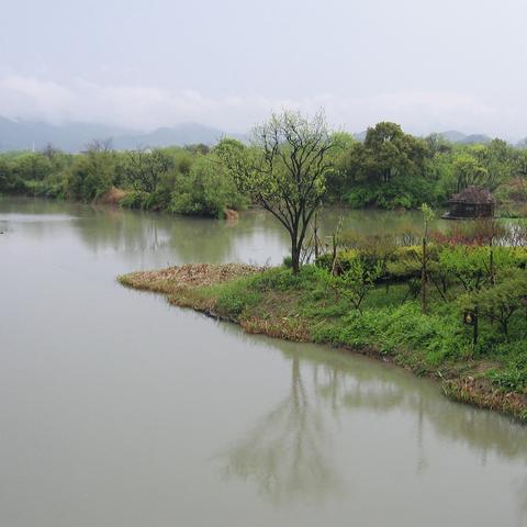 杭州西溪湿地学生票的相关长尾关键词有哪些