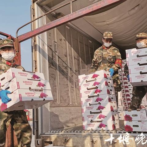 南宁市哪个地方有牛奶厂