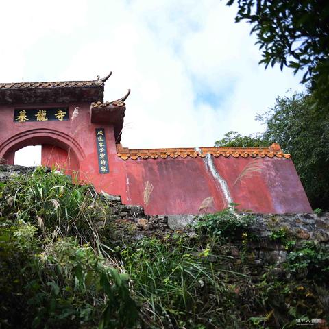 桂林市的竹笋好吃吗怎么样