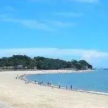 大学生游泳锦标赛厦门的相关长尾关键词有哪些