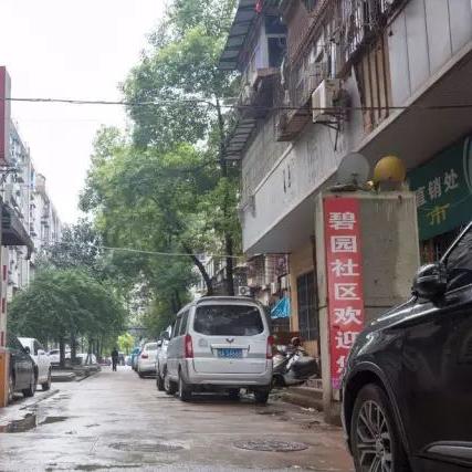 武汉市49中在什么地方