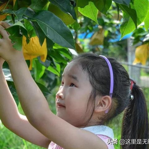 无锡市小乔小学的长尾关键词有哪些