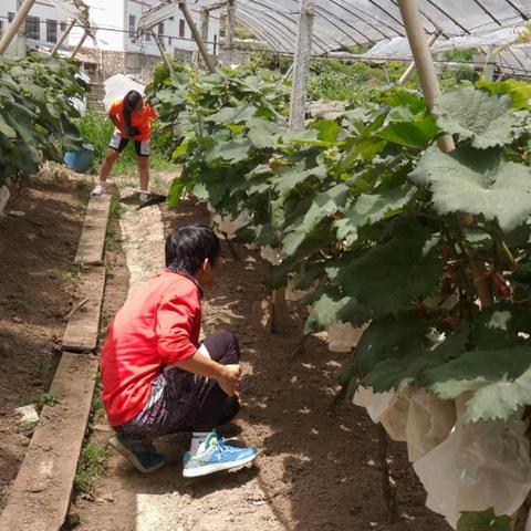 杭州去拉萨路线最美的相关长尾关键词有哪些