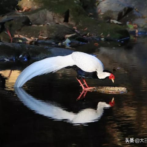厦门到明溪的班车的相关长尾关键词有哪些