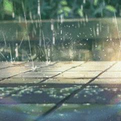 为什么深圳感觉冷