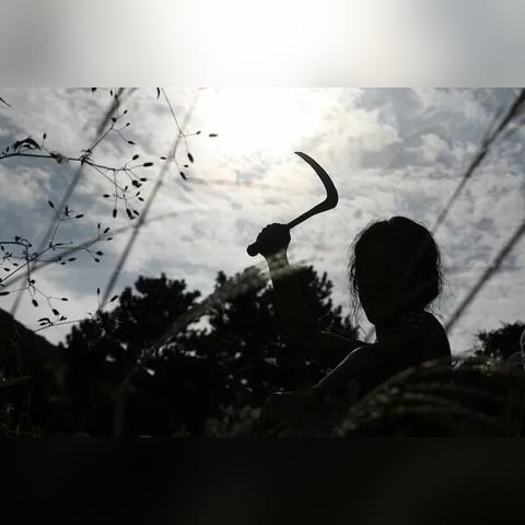 韩国复仇电影音乐的长尾关键词有什么