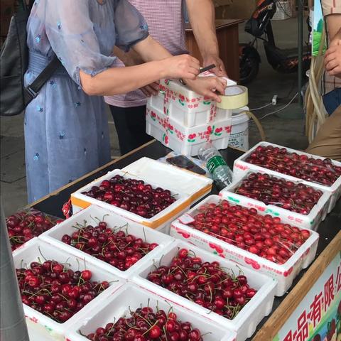 重庆双福属于哪个市