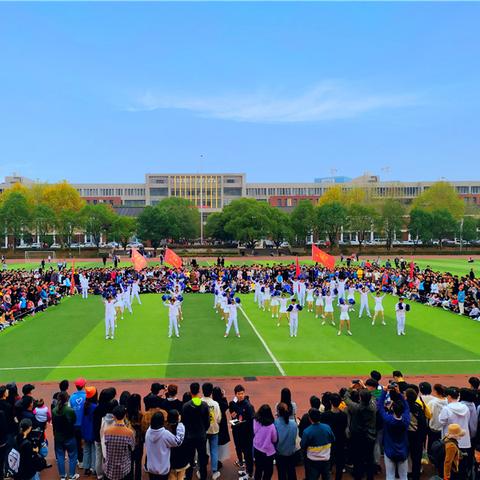 11月23号是什么星座的 阳历11月23号是什么星座的