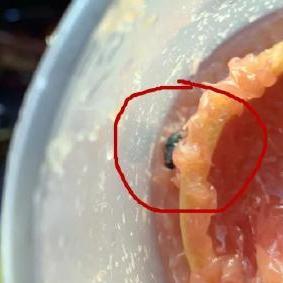 苏州市有什么著名饮料企业