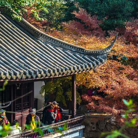 11苏州市常熟市红枫小学的长尾关键词有哪些