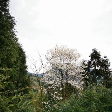 成都市到天台山怎么坐车
