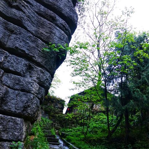 今日重庆天象天气预报的长尾关键词有什么