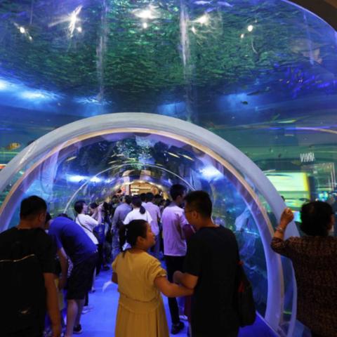 兰州生物预约名字的相关长尾关键词有哪些