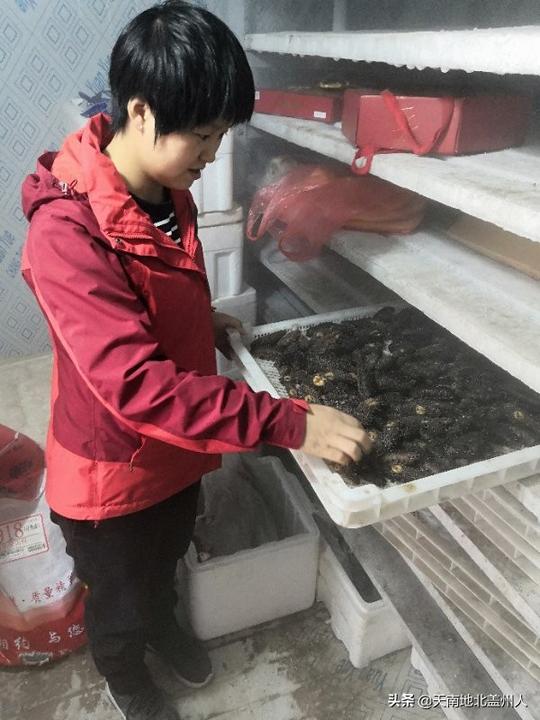 郭旗：川大毕业生回乡当渔民，一位80后女大学生的传奇创业故事