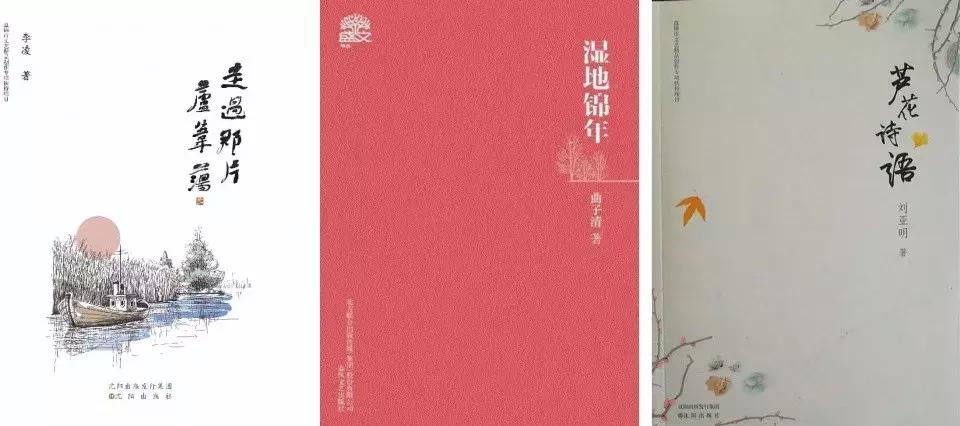 江苏作家、徐州市作家协会副主席李凌逝世，年仅52岁