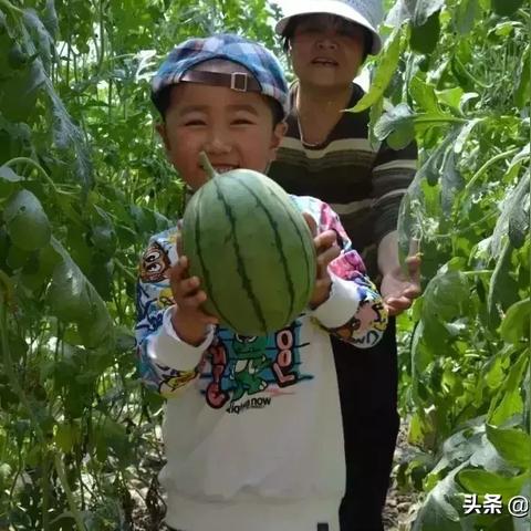 水果济南相关长尾关键词有哪些