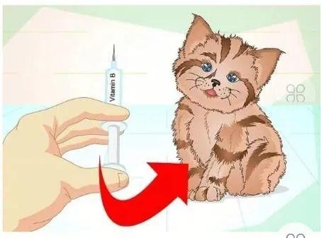 孩子生病食欲不振怎么办 孩子生病食欲不振怎么办