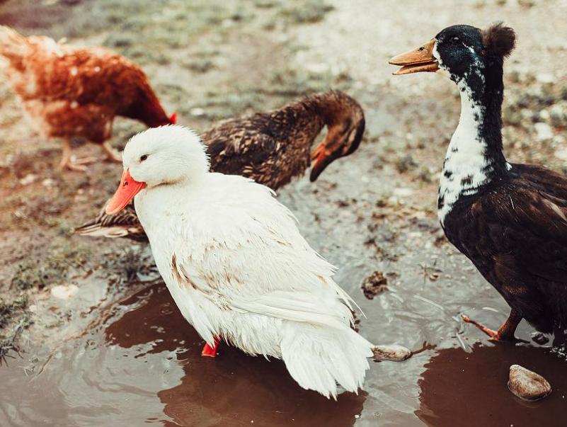 高中风险地区最新名单最新
 ,高中风险地区列表