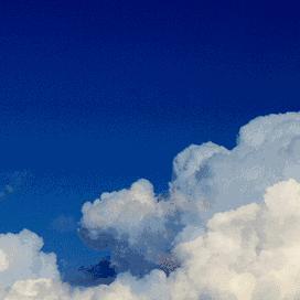 石家庄市海鲜哪里便宜点