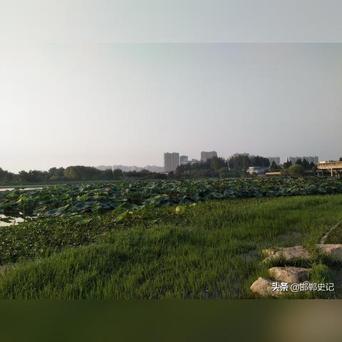 邯郸市南湖灯会的长尾关键词有什么