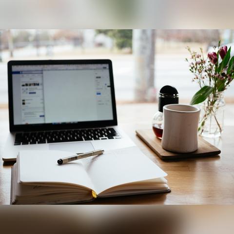 网站seo优化好入手吗