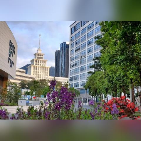 我在威海市经区清华街去汇丰物流做几路公交车？