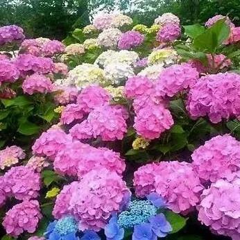 五一去长沙还是南昌相关长尾关键词有哪些