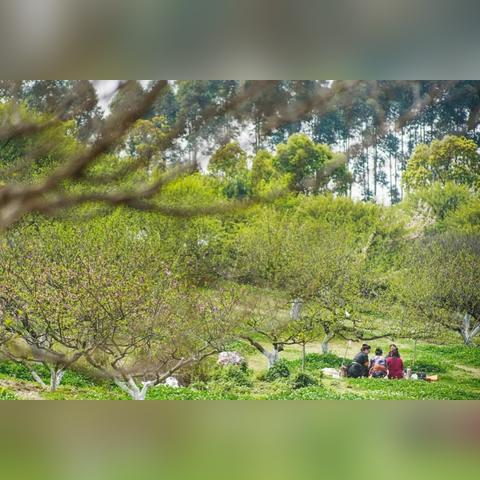 阳光出行单子多吗？