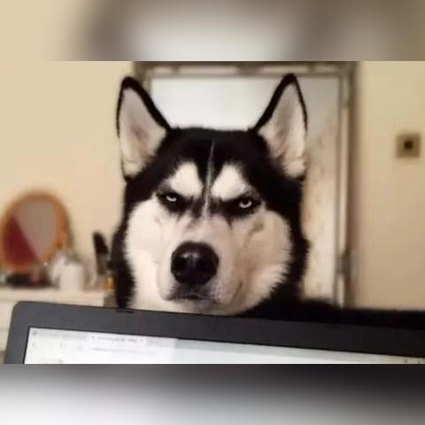 辽源到大连的火车的长尾关键词有什么