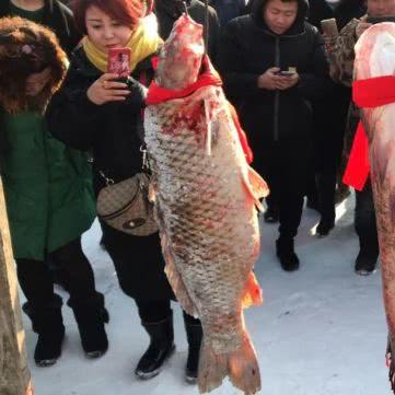 农垦哈尔滨管理局有几个农场？