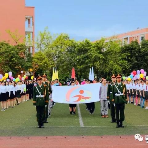 四川成都市招生团队有哪些