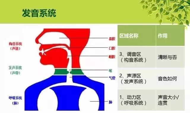 孩子四周岁说话说不清什么原因