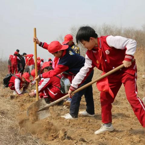 石家庄市造林办的长尾关键词有什么