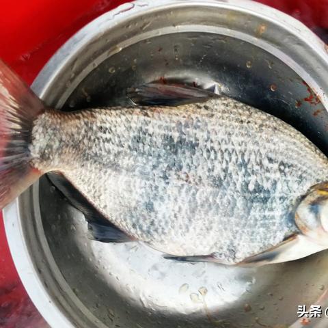 长沙市喝的什么水