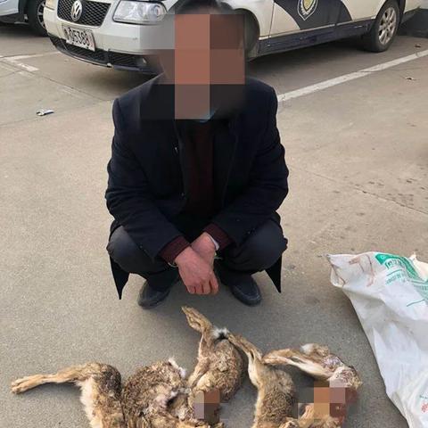 临沂市交通严打的长尾关键词有哪些