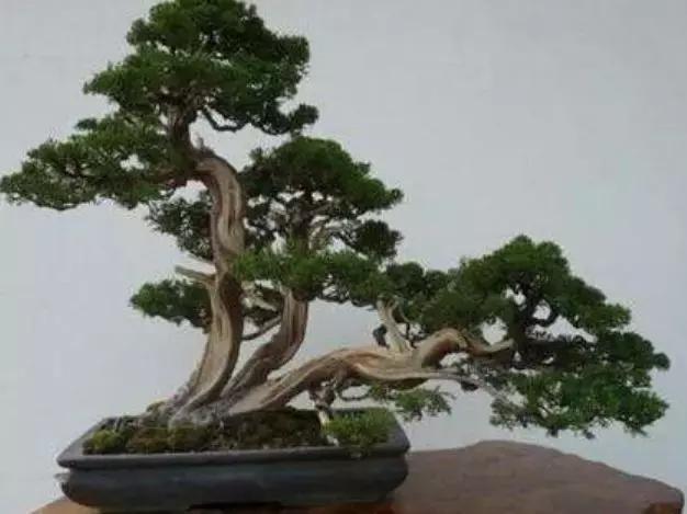 家里健康风水_最好的风水是大事商量小事原谅不争对错不翻旧账