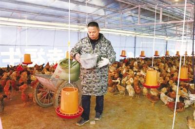 外出打工成老板回乡创业治穷根