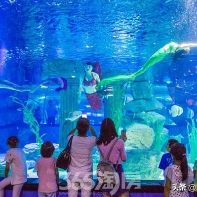兰州海德堡青年特快交房时间？