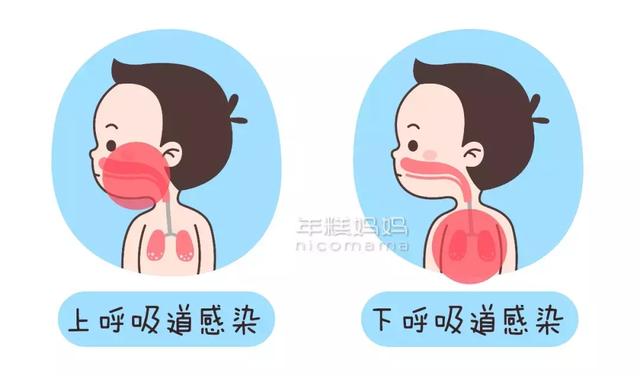 小儿感冒和肺炎怎么辨别