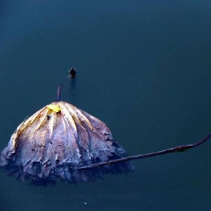 济南卵石铺相关长尾关键词有哪些