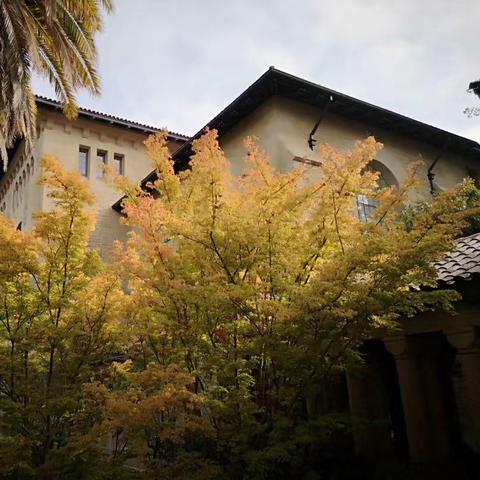 关于上海音乐学院排名相关关键词有哪些