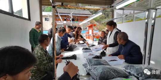 碧江：整合资源建设多元化托养照护服务体系