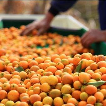 南宁市微型企业怎么申报