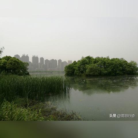 为什么都去合肥市工作