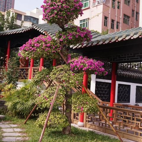 苏州市做石头生意怎么样