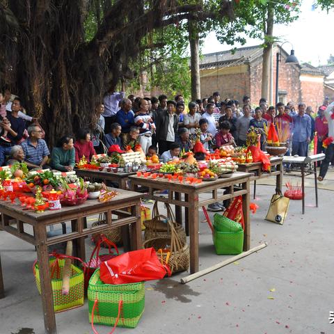 福建游神身上的糖可以拿吗？