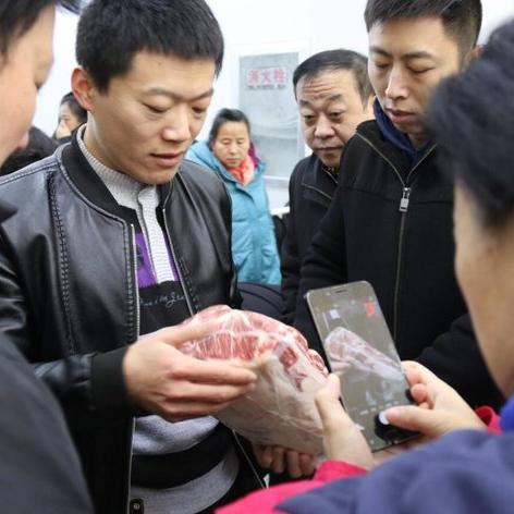 济南市信鸽协会相关长尾关键词有哪些