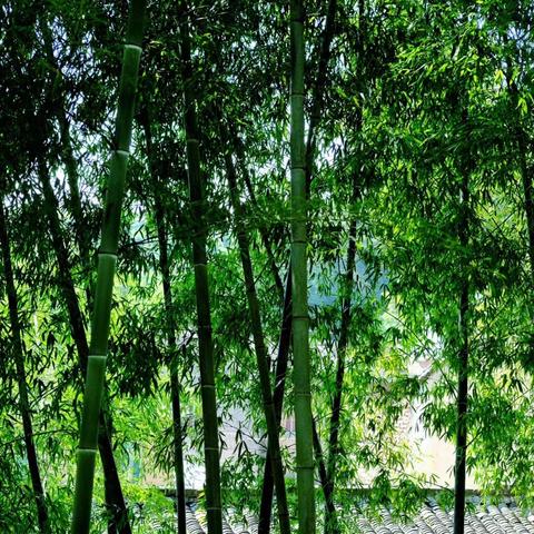 宁波到宁海的汽车的相关长尾关键词有哪些