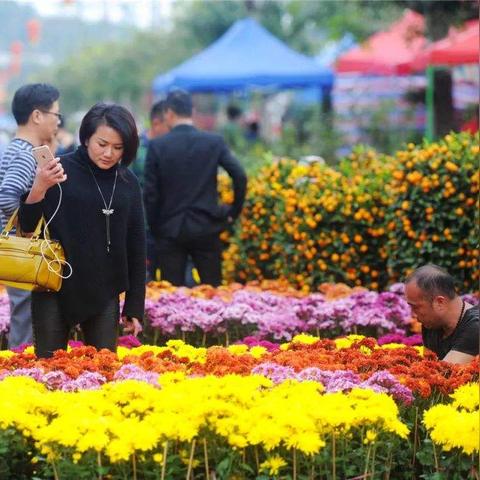 广州花市卖鲜花的利润怎么样？