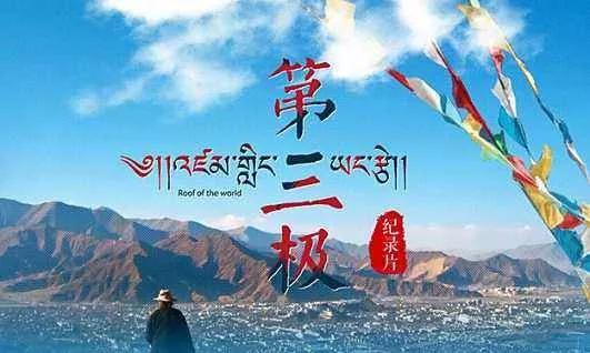 寒假让孩子看什么